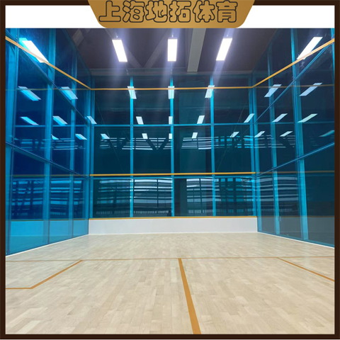 昆明马龙医专全玻璃壁球馆建造