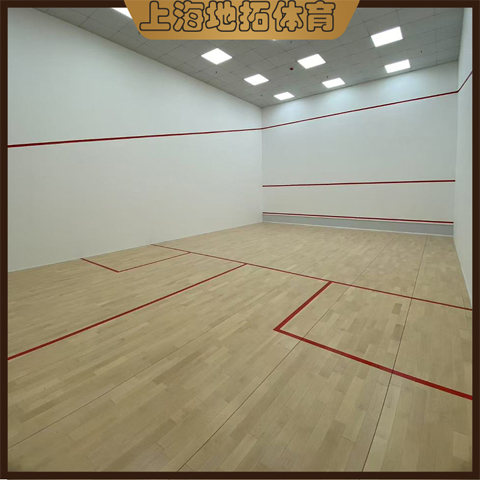 地拓体育批荡壁球馆｜耐磨抗冲击，解锁专业运动新体验