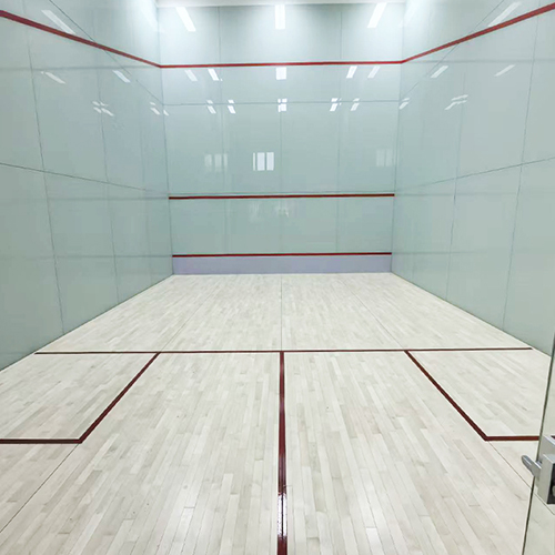 全玻璃壁球馆定制服务 上海地拓体育 玻璃壁球馆建造一站式服务