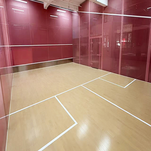 全玻璃壁球馆安装 一站式设计 全国施工