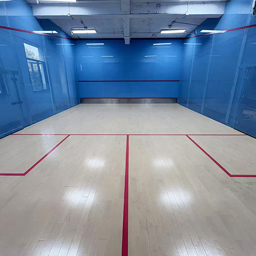 恭贺无锡泊寓全玻璃壁球馆建造完成